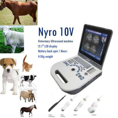 "Nyro 10 - Veterinary Ultrasound"